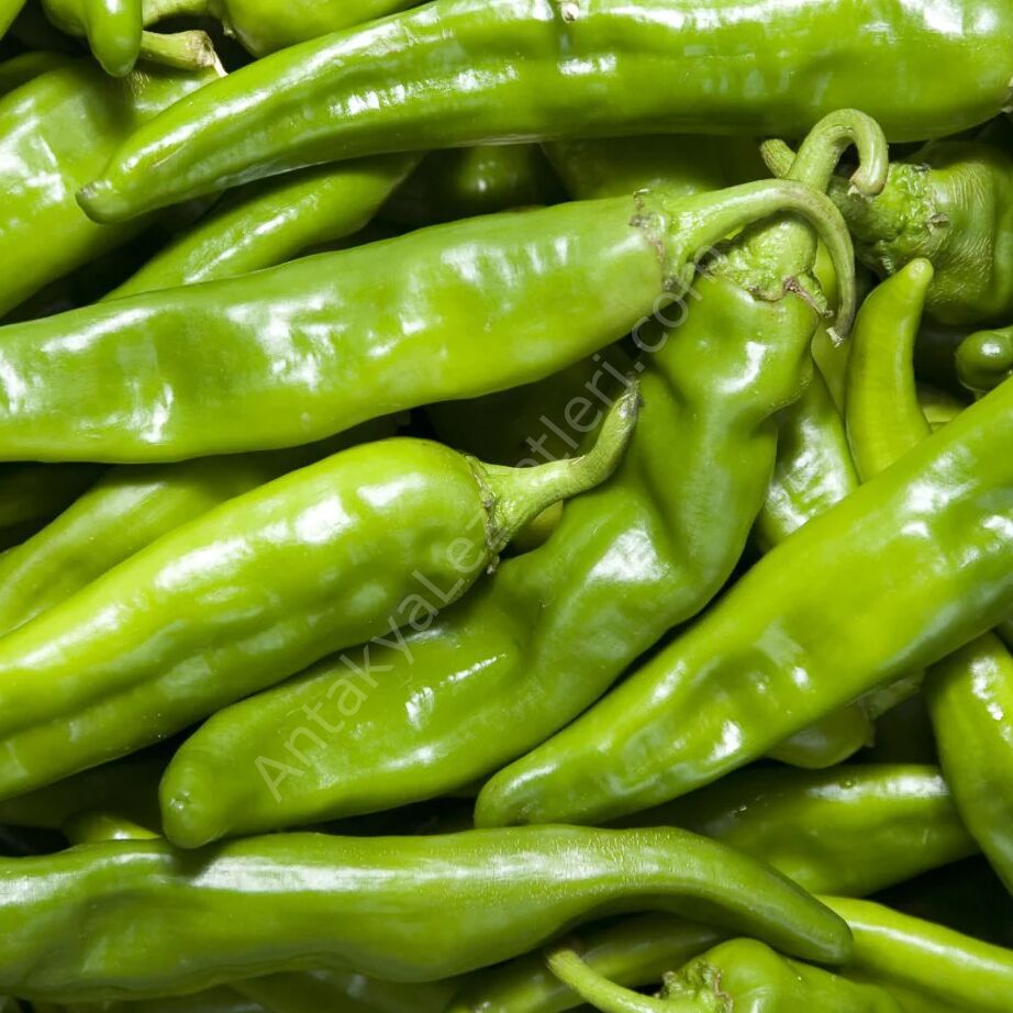 Samandağ Biber 1 Kg