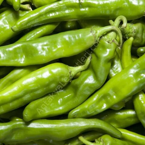 Samandağ Biber 1 Kg