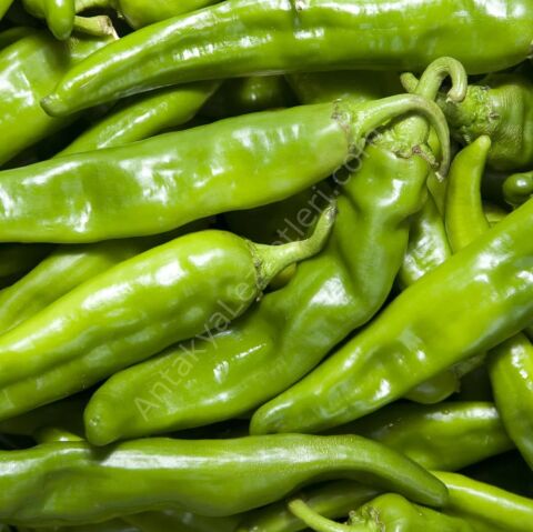 Samandağ Biber 3 Kg